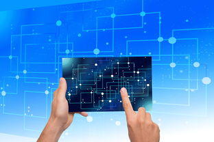 Leyu Sport登录入口-中国篮球教练员战术执行力提升路径分析，中国篮球教练员等级划分标准