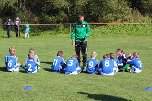 APP下载 LY Sports-中国篮球教练员战术创新能力培养及培训机制研究，全国篮球教练员岗位培训