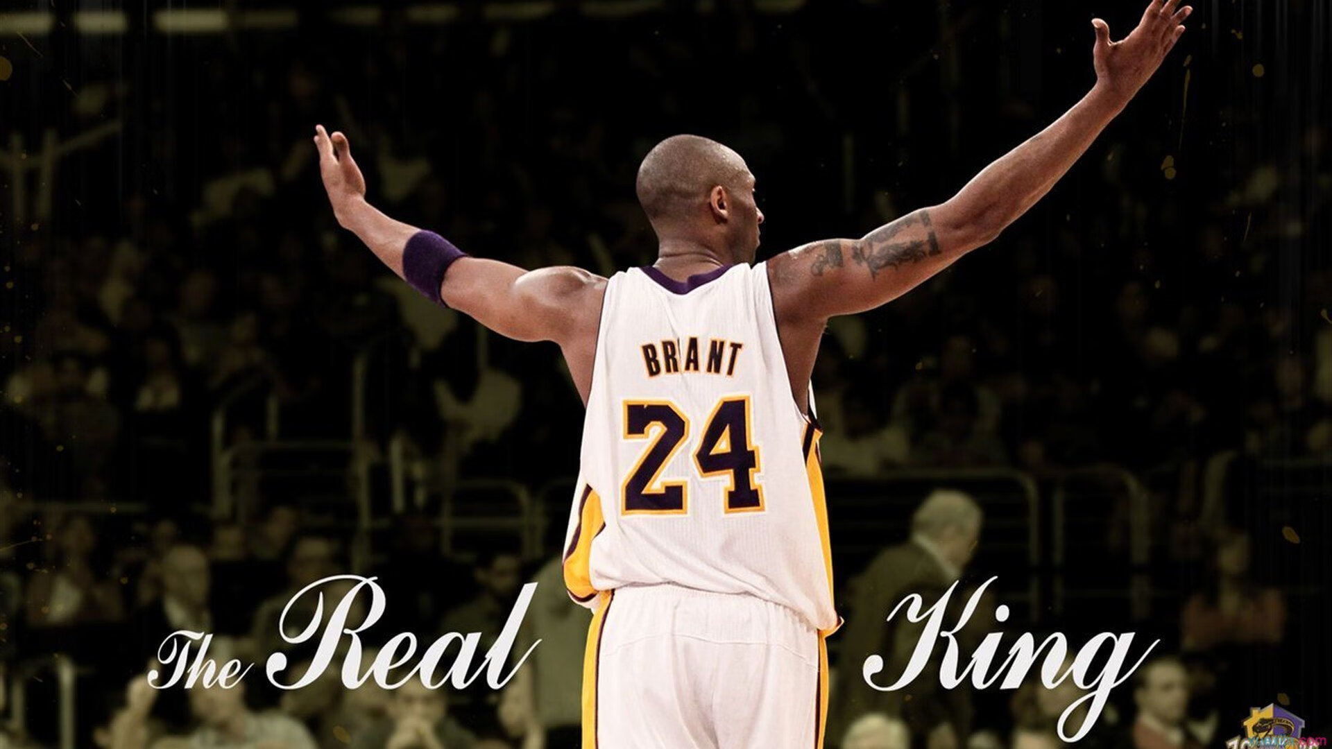 独行侠投篮训练引入智能识别提升精准度，nba独行侠是什么意思